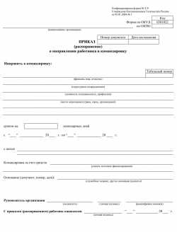 Что нужно написать в приказе на командировку сотрудника?