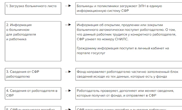 После одобрения сфр через сколько приходят больничные. Памятка кадровика.